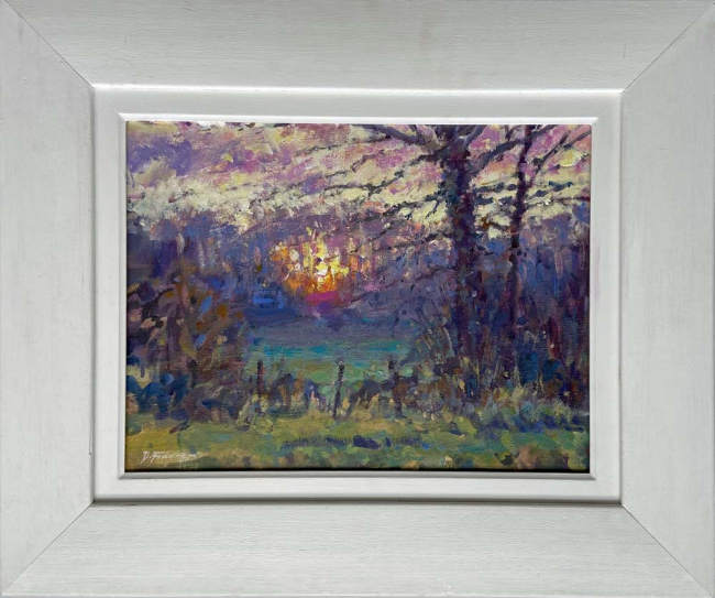 David Farren Sunset through the trees